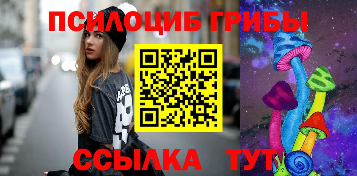 Каменка  Галлюциногенные грибы ЛСД  закладка  Вход с VPN 