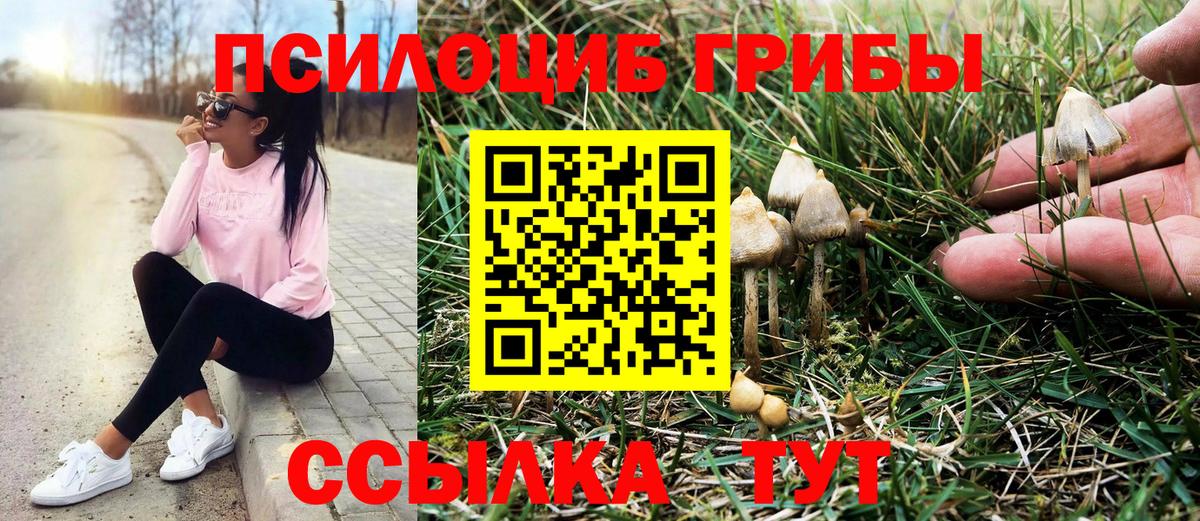 Галлюциногенные грибы GOLDEN TEACHER Каменка